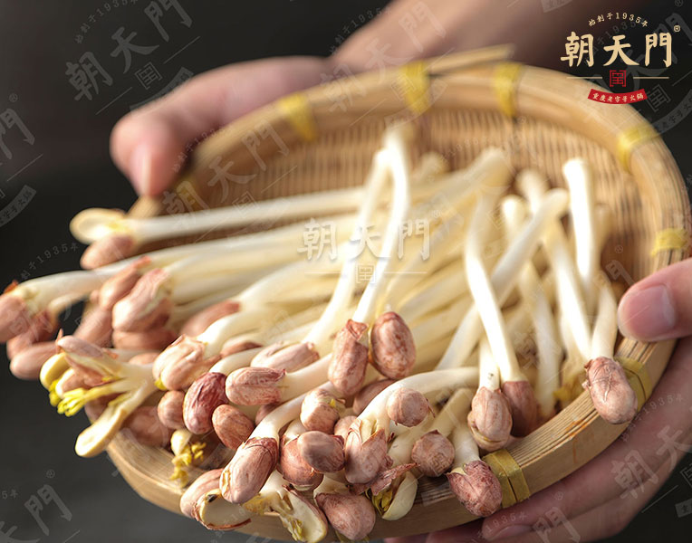 活體豆芽