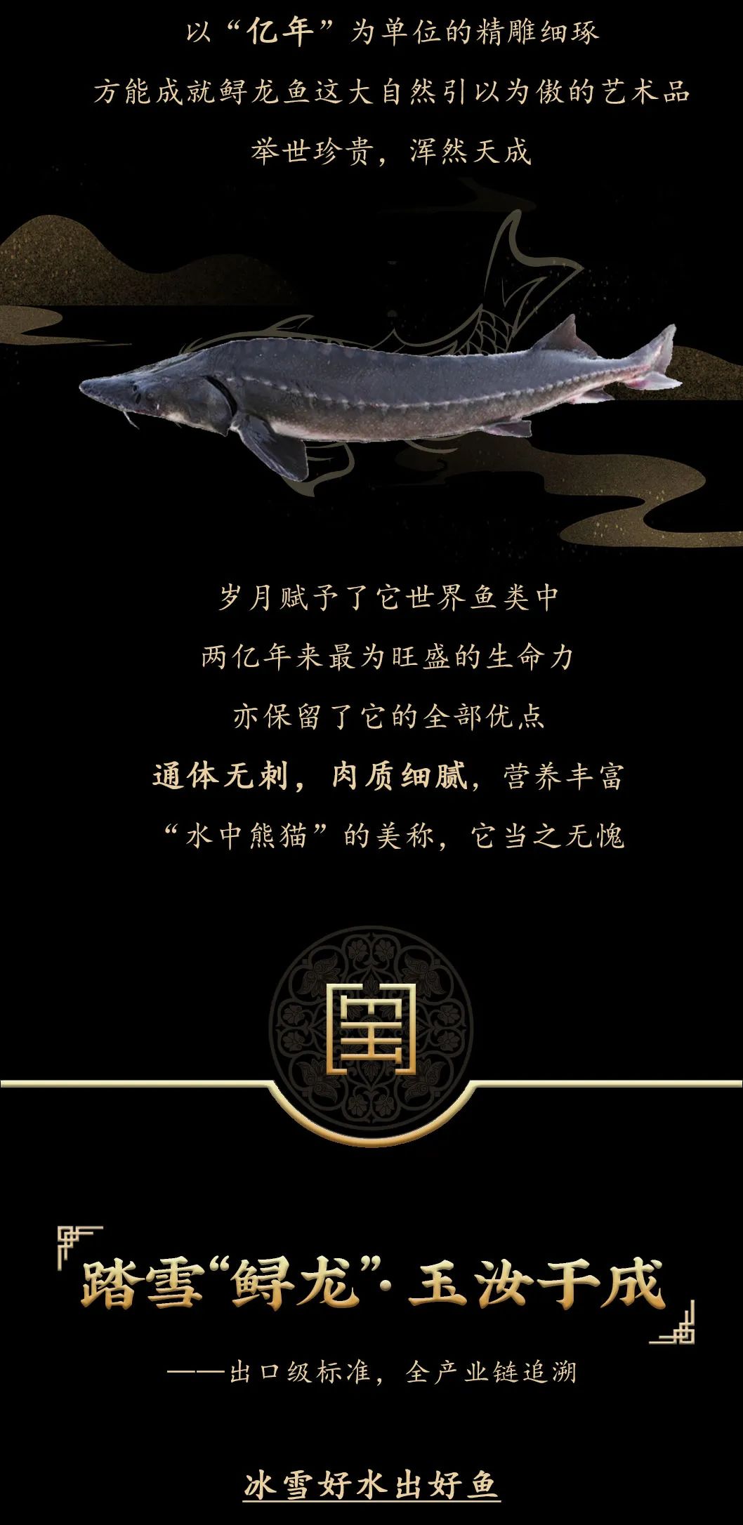 九州鱘龍魚片上新 | 自然臻藏，獻(xiàn)給吃魚有講究的人